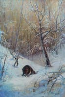 Bear in the Winter Forest