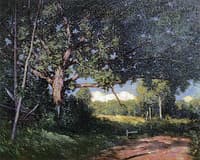 The Spreading Oak