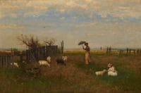 A Windy Day