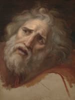 Head of Laocoon