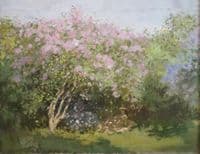 Lilacs in the Sun
