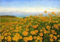 A Field of Buttercups by the Coast