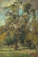 Trees