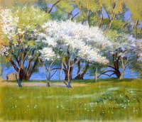 Spring Landscape