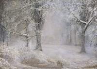 Snow