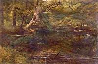 Kingfisher's Haunt