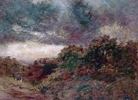 Rain Clouds over Raby Mere, Wirral