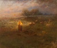 Golden Afternoon