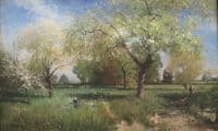 Orchard in Spring
