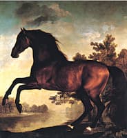 Scrub, a Bay Horse Belonging to the Marquess of Rockingham
