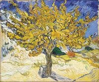 The Mulberry Tree