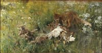 A Fox Family