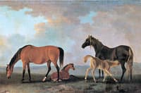 Mares and Foals, Facing Left
