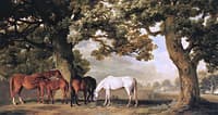 Mares and Foals Belonging to Lord Grosvenor at Eaton Hall