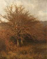 Woodland