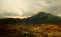 Welsh Moor with Sheep