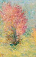The Red Maple