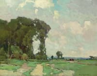 A Summer Day