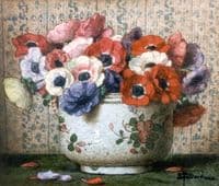 Anemones