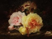 Throw of Roses