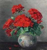 Geranium
