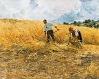 The Harvest