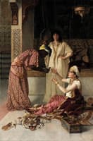The Pet Dove