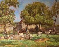 Sheep Shearing, Caldicot