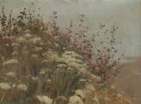 A Flowery Bank