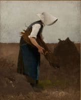 Gathering Poppies
