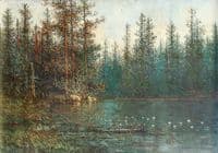Woodland Pond