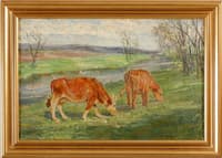 Cows in a Landscape