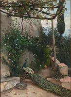 Terrace with Peacock, the Alhambra