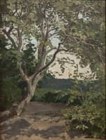 A Tree. Study