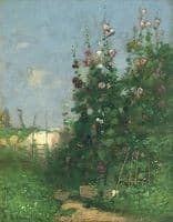 Hollyhocks
