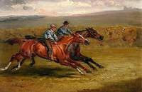 The Life of a Thoroughbred