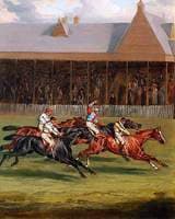 The Life of a Thoroughbred