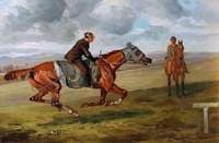 The Life of a Thoroughbred
