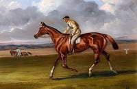 The Life of a Thoroughbred