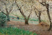 Fruit Trees in Bloom