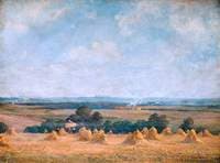The Cornfield