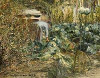 In the Garden