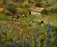 Collecting Flowers near Saint Paul de Vence
