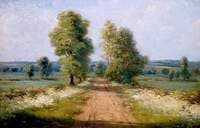 Country Lane