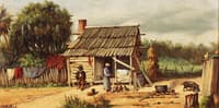 Cabin Scene