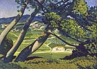 Trees, Provence