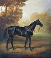 'Black Arrow'