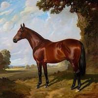 'Gainsborough'