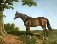 'Royal Lancer', Winner of 1922 St Leger Stakes