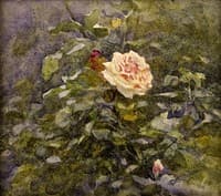 Study of Flowers